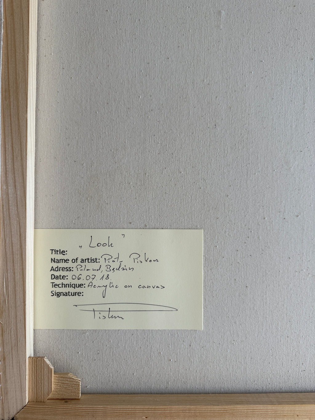 Original Gemälde „Look“ – Piotr Piskorz, Acryl auf Leinwand 70×50 cm,