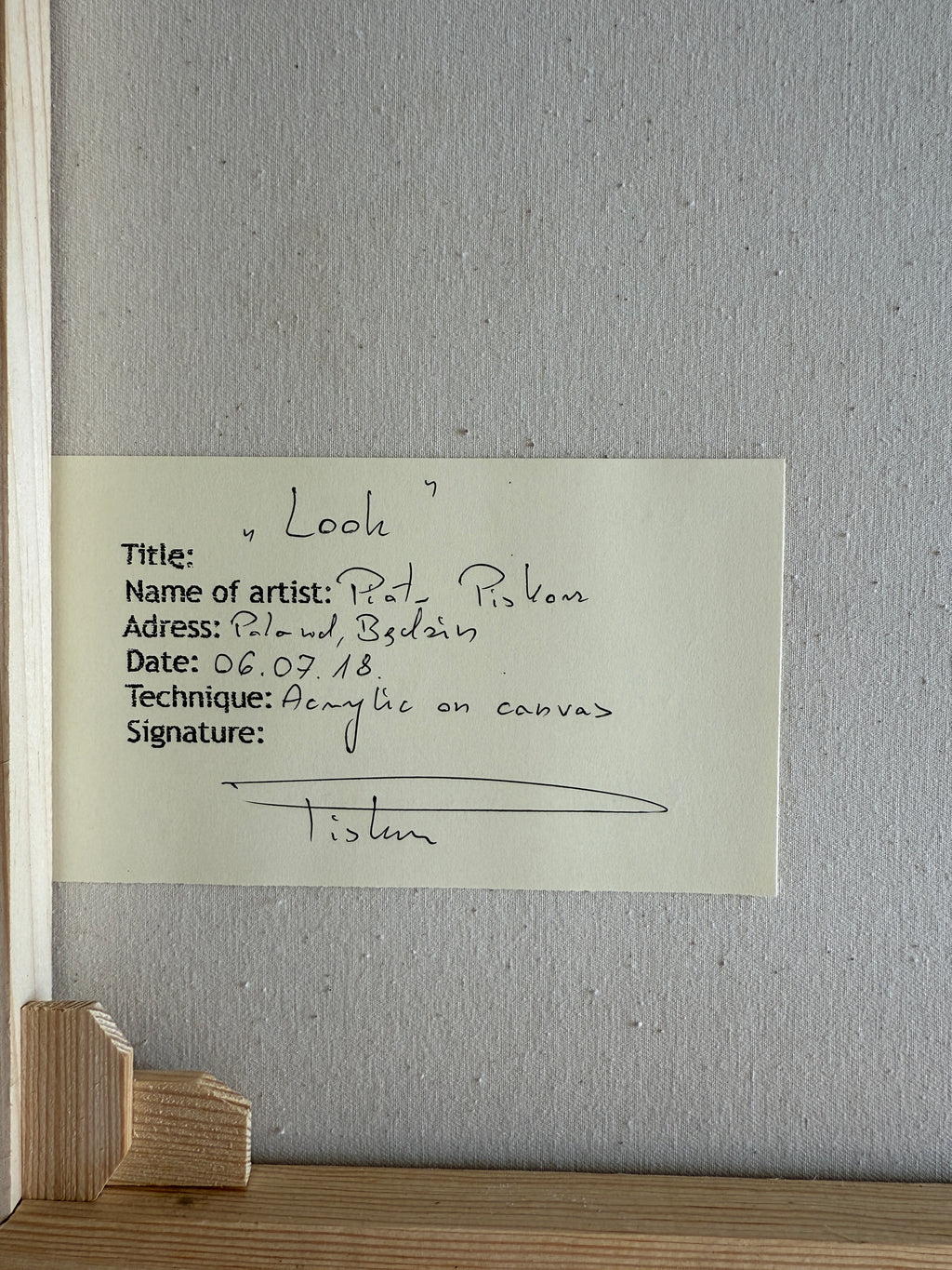 Original Gemälde „Look“ – Piotr Piskorz, Acryl auf Leinwand 70×50 cm,